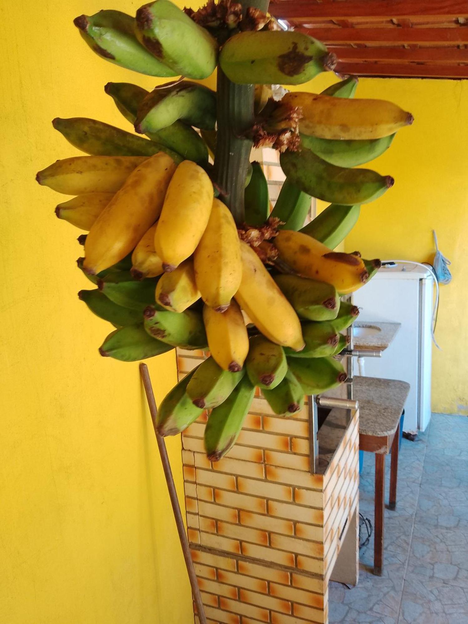 Casa De Temporada Lindas Cachoeiras 10 帕拉蒂 外观 照片